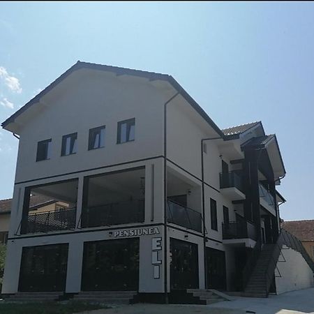 Pensiunea Eli Buzias Exterior photo